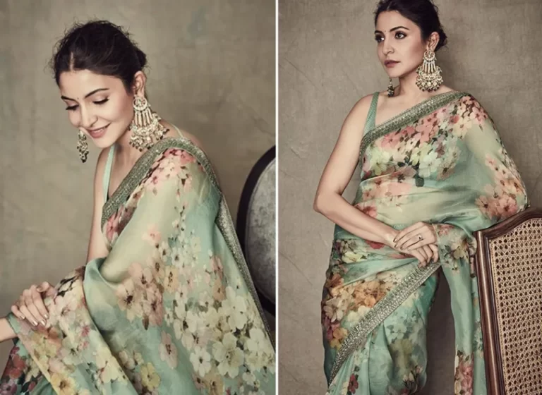 Is the Organza Saree Transparent? Tips to Make It Look Less Transparent