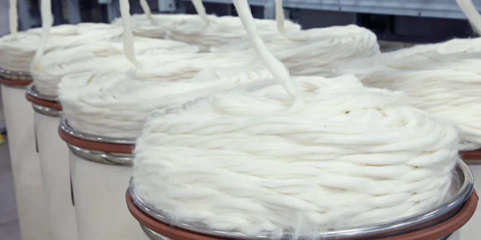 What is Pima Cotton? a Complete Guide