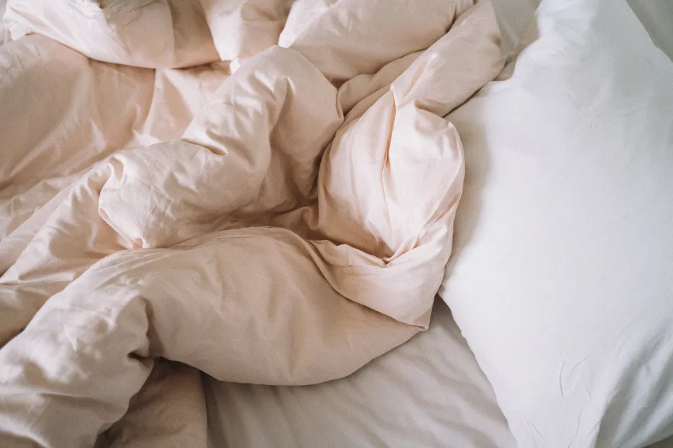 6 Best Egyptian Cotton Comforters 2032: a Touch of Luxury