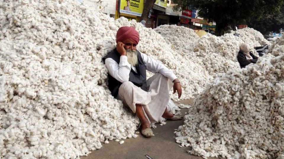 Better Cotton Report: Improved Profitability, Eco Impact in India –  Sourcing Journal