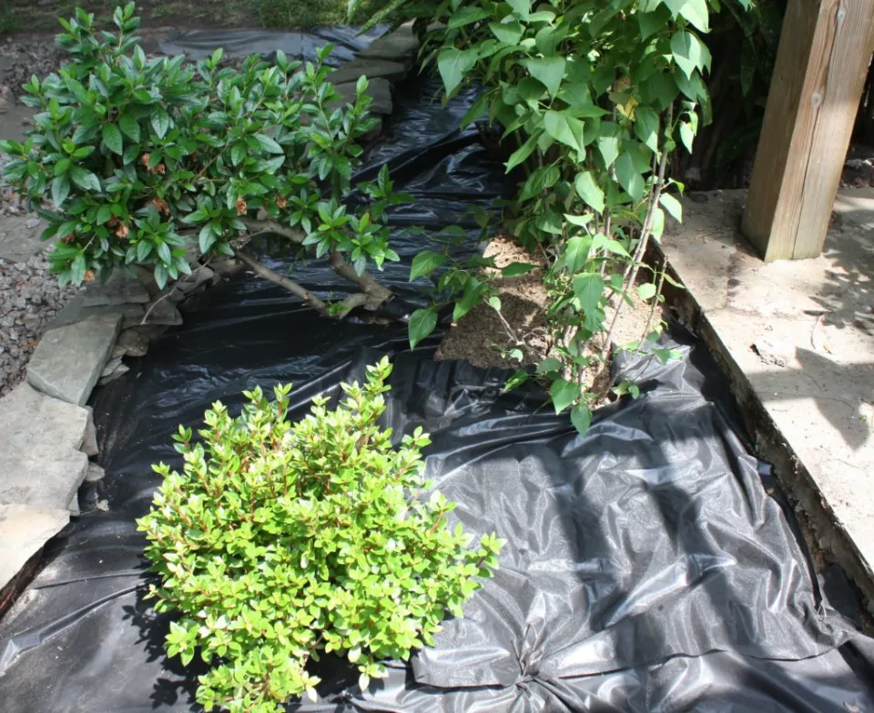 Can You Use a Tarpaulin under Gravel? How to Use It?