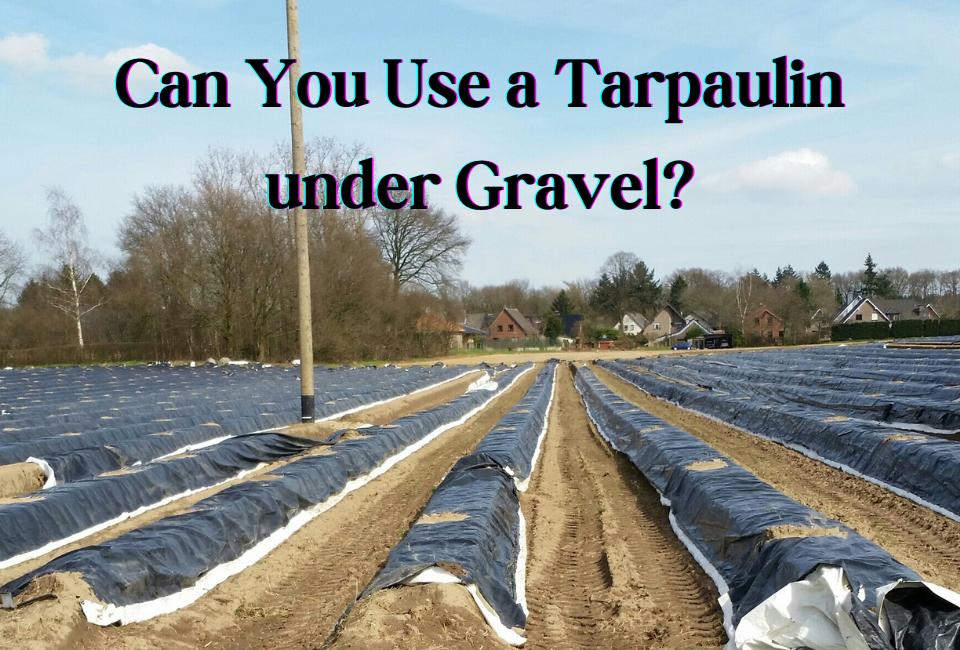 Can You Use a Tarpaulin under Gravel? How to Use It?