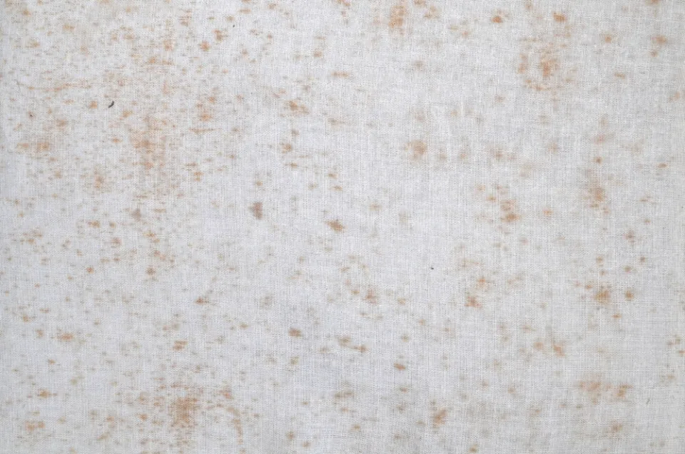 How to Remove Mold from Canvas Fabric? Steps