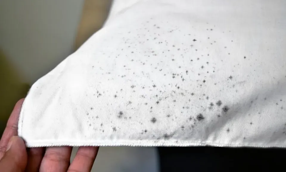 How to Remove Mold from Clothes With Hydrogen Peroxide?