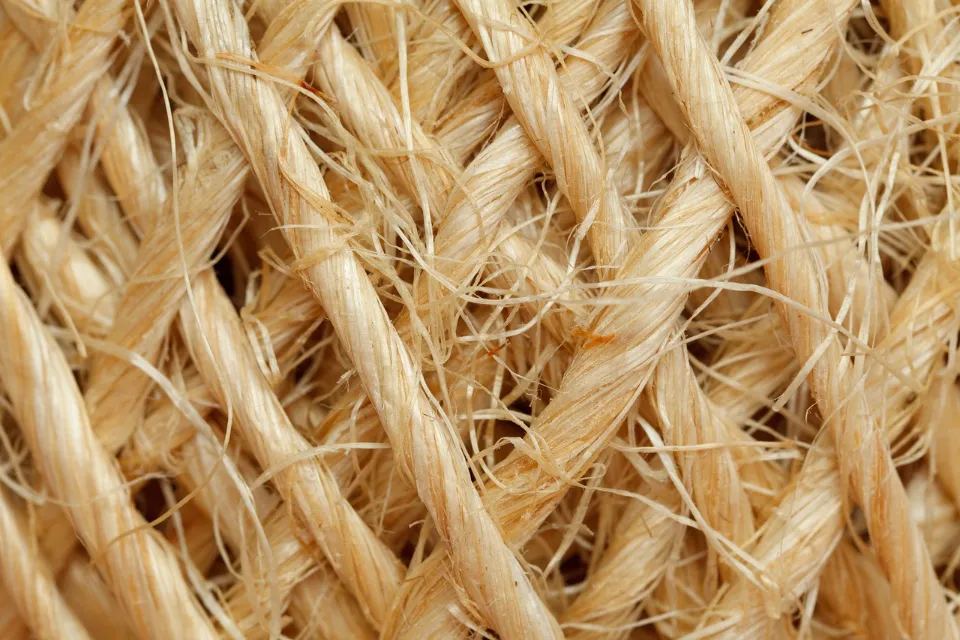 Is Jute Or Sisal Softer? 5 Differences to Know