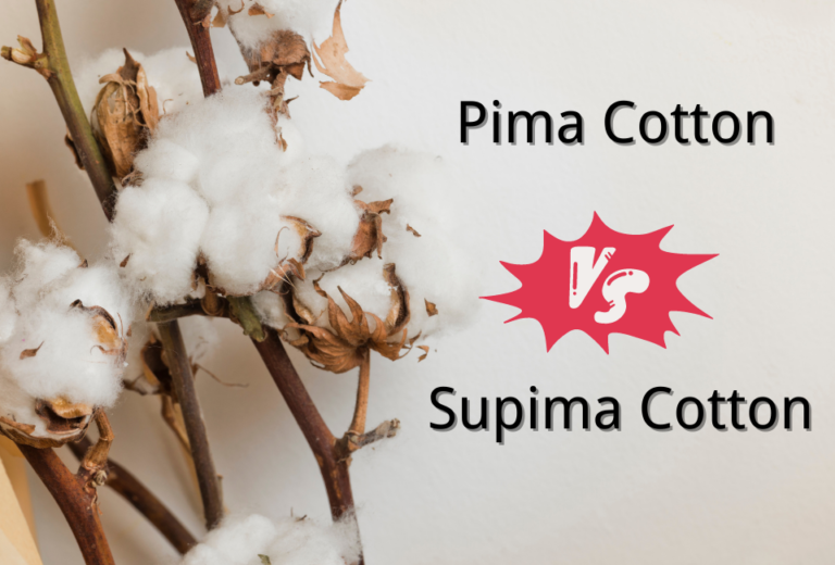Pima Cotton Vs Supima Cotton: Which One Should You Choose?