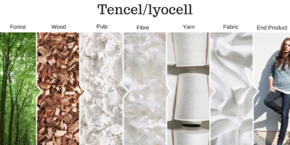 What is Lyocell Made From? Production Process
