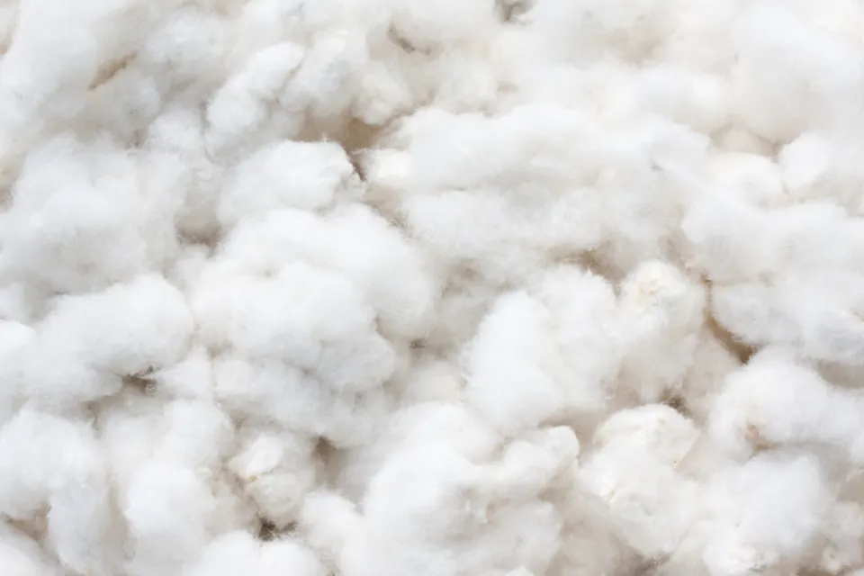 What is Supima Cotton? Uses, How It is Made