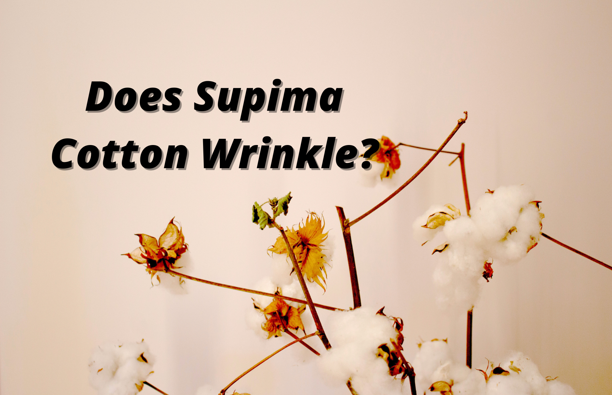 Does Supima Cotton Wrinkle? Methods to Make It Unwrinkle