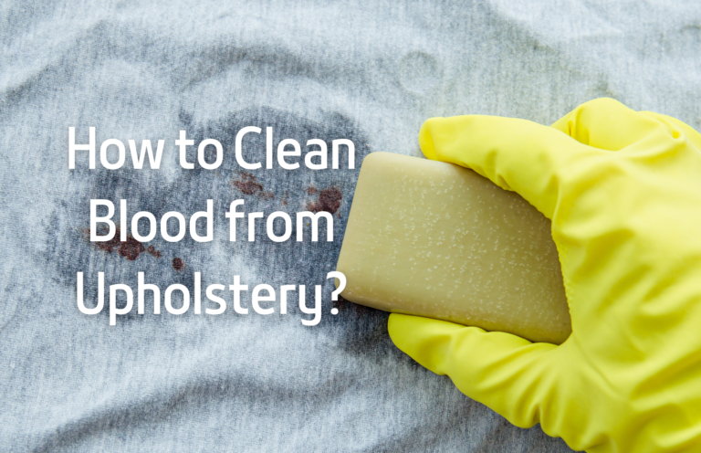 How to Clean Blood from Upholstery? Home Remedies & Steps