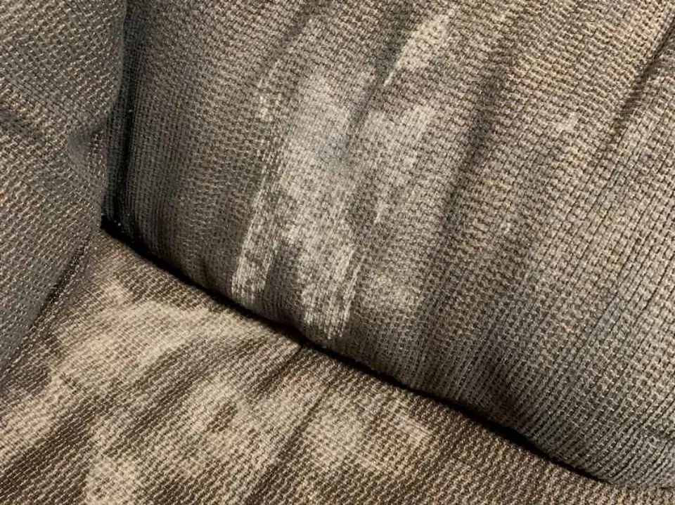 How to Clean Mold from Upholstery? Tips