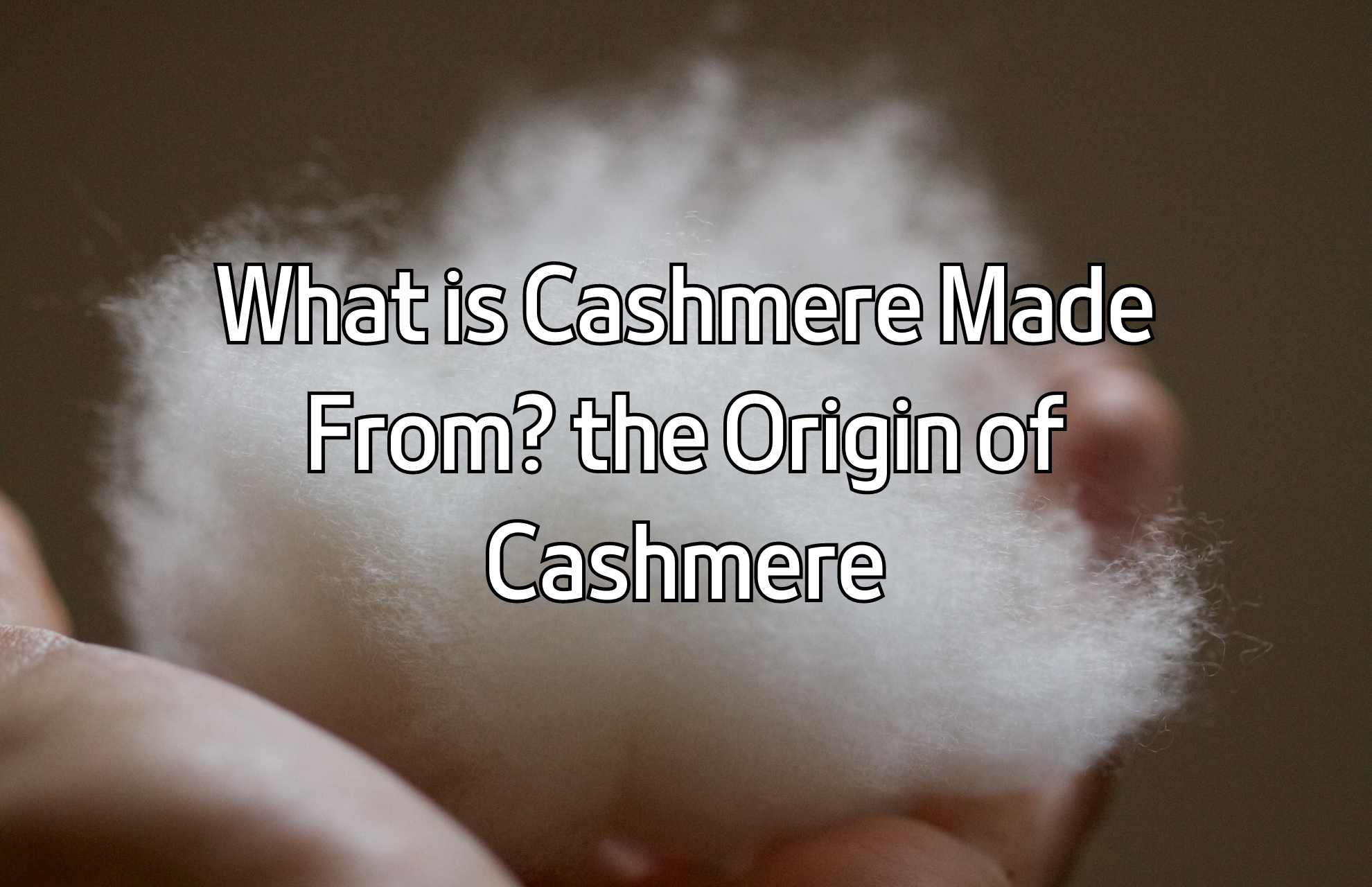 What is Cashmere Made From? the Origin of Cashmere
