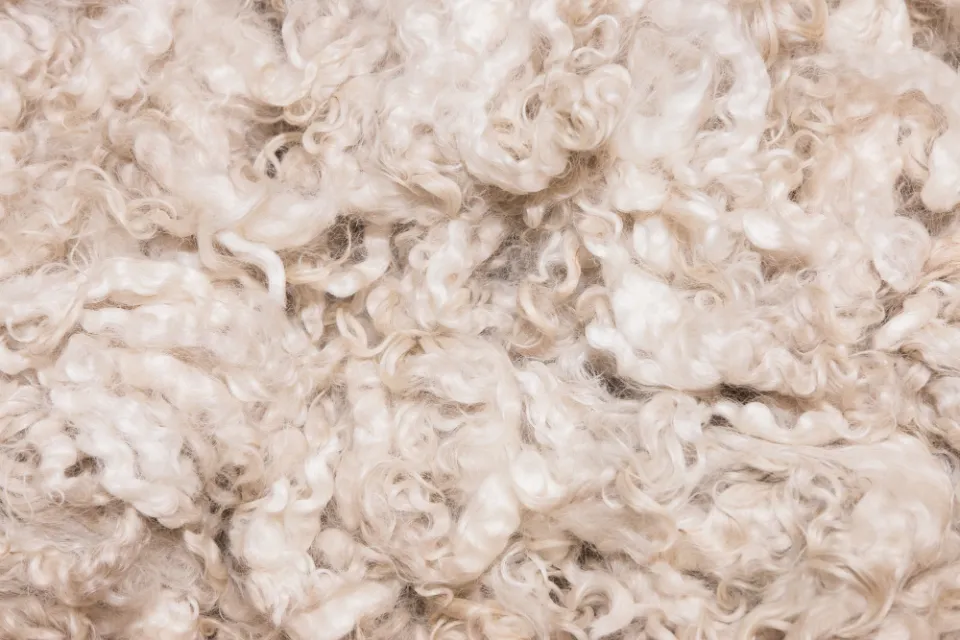 What is Merino Wool? Full Fabric Guide