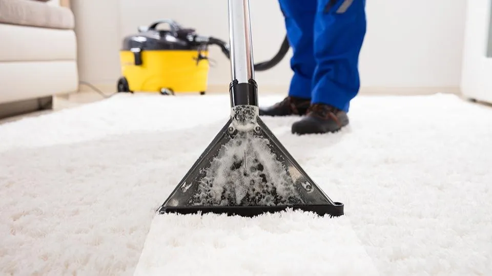 7 Best Upholstery Cleaners 2023: Easy Cleaning!