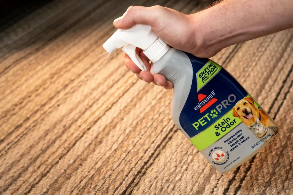 Bissell Professional Stain & Odor Stain Remover