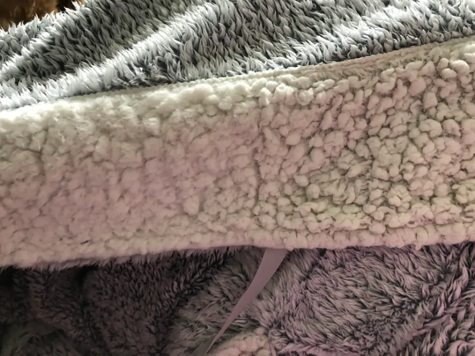 How to Get Dog Hair Out of Fleece Blankets? Steps & Prevention