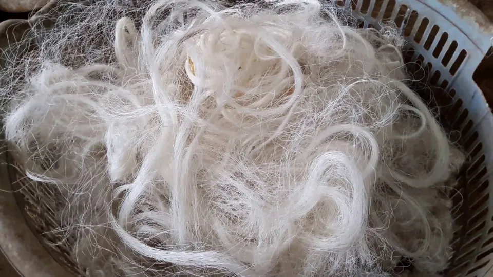 How is Silk Made into Fabric? the Process of Making Silk