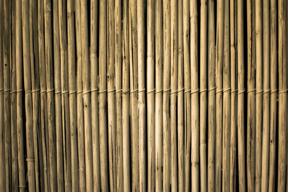 How is the Bamboo Fabric Made? Facts on Bamboo Textiles