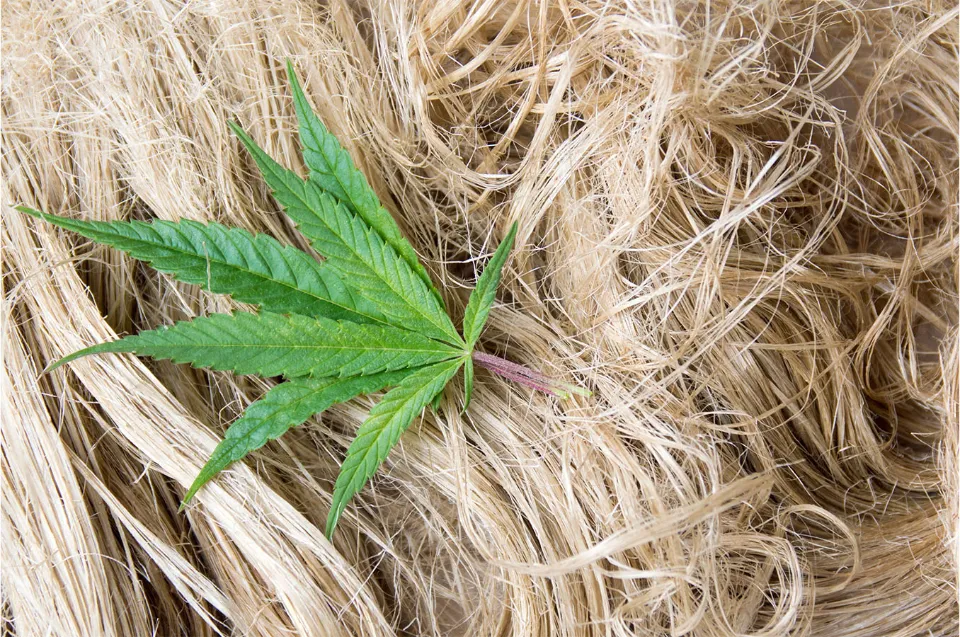 Is Hemp Fabric Antimicrobial? Antimicrobial & Hypoallergenic Hemp