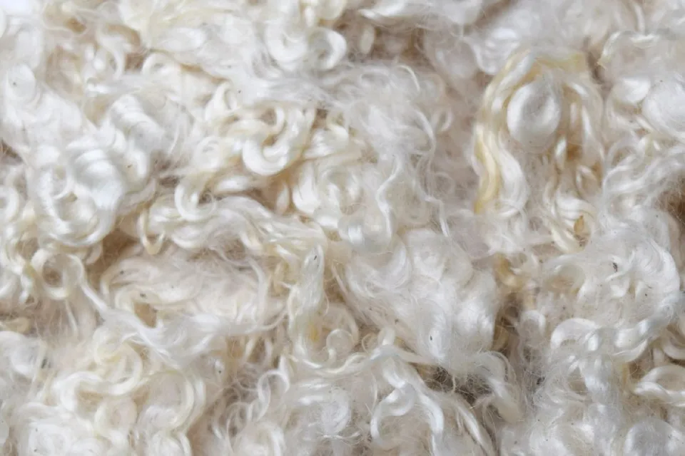 Is Mohair a Natural Fiber? Let's Find Out!