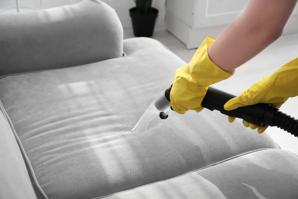 Is Professional Upholstery Cleaning Worth It? Professional Vs. DIY