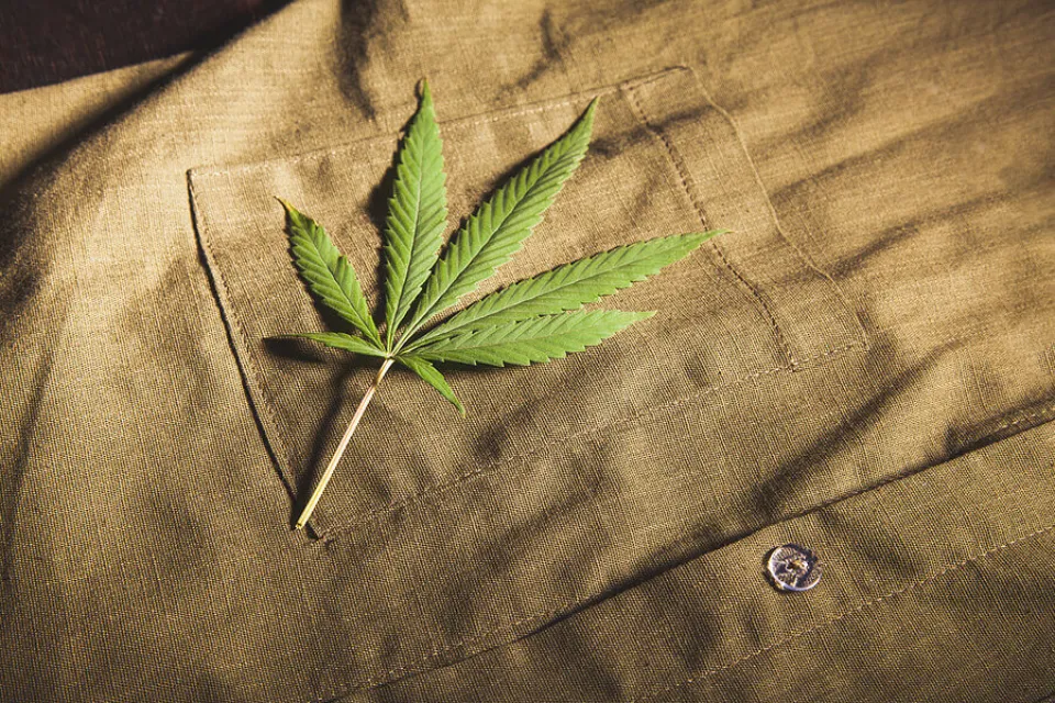 Pros and Cons of Hemp Fabric You Need to Know