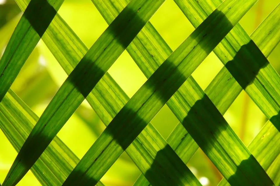 What is Bamboo Fabric: Properties & Applications