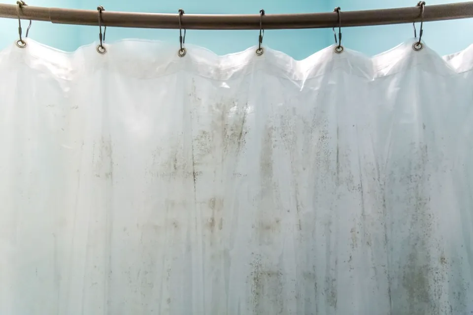How to Remove Mold from Fabric Shower Curtain? 4 Methods